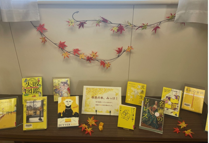 秋色展示（黄色）